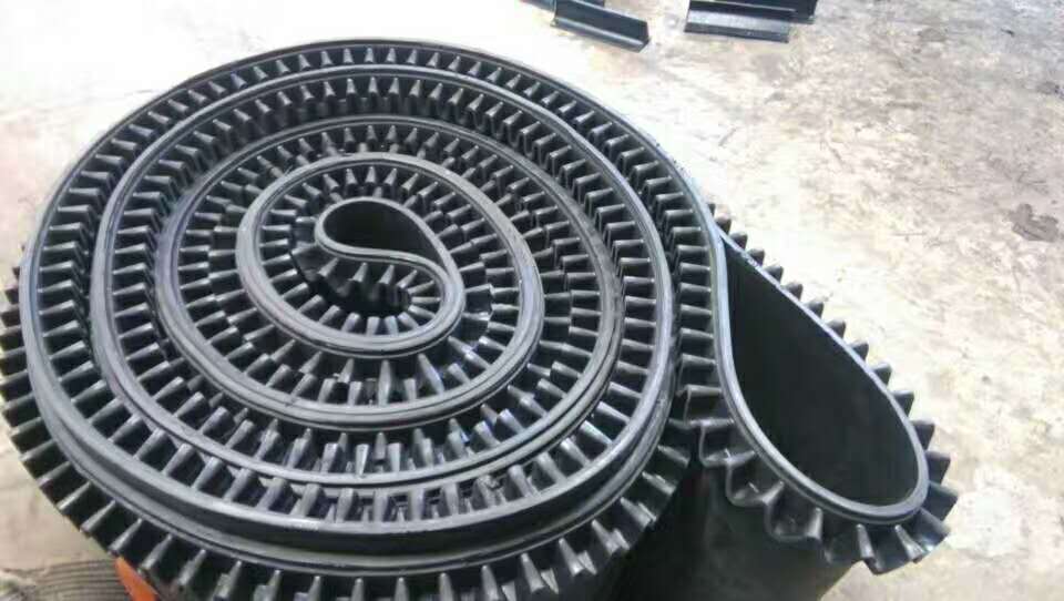 Ring-shaped Conveyor Belt